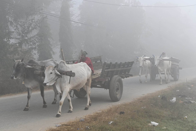 तराईमा बाक्लो हुस्सु, अचानक चिसो बढेपछि जनजीवन कष्टकर (फोटो फिचर)